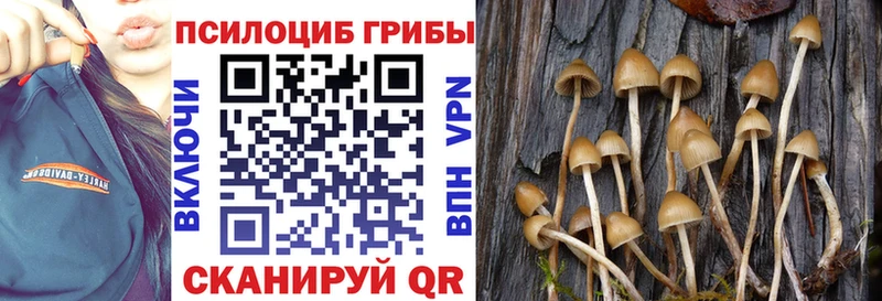 Псилоцибиновые грибы ЛСД  Северск 